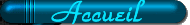 Accueil